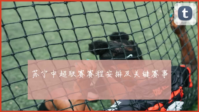 苏宁中超联赛赛程安排及关键赛事