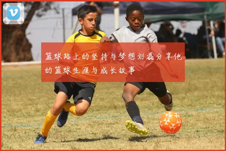 篮球路上的坚持与梦想刘磊分享他的篮球生涯与成长故事