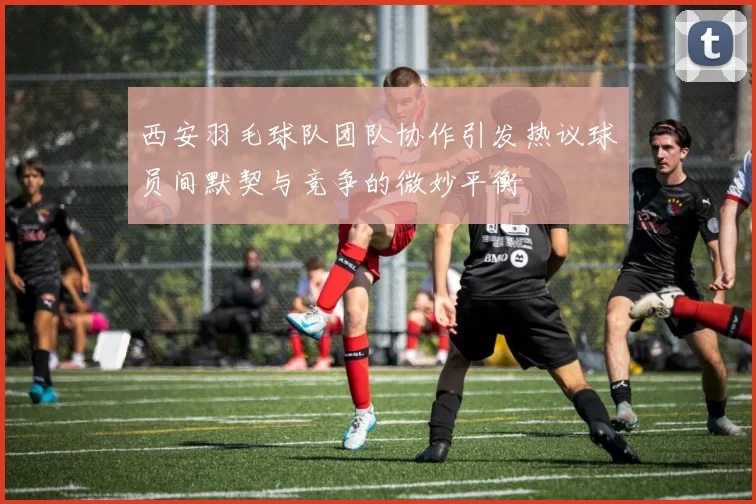 西安羽毛球队团队协作引发热议球员间默契与竞争的微妙平衡