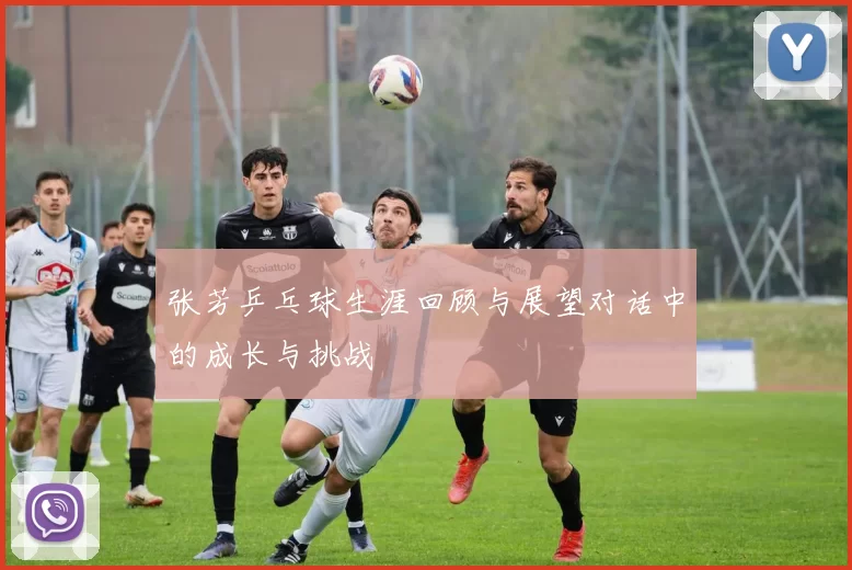 张芳乒乓球生涯回顾与展望对话中的成长与挑战