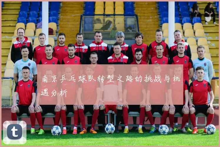 南京乒乓球队转型之路的挑战与机遇分析