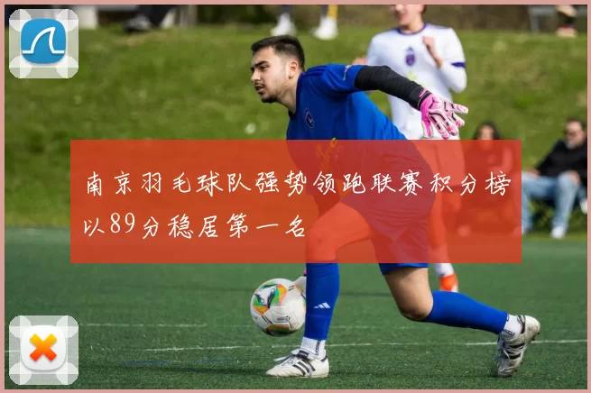 南京羽毛球队强势领跑联赛积分榜以89分稳居第一名