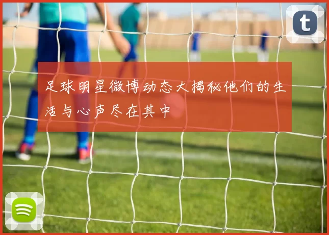 足球明星微博动态大揭秘他们的生活与心声尽在其中