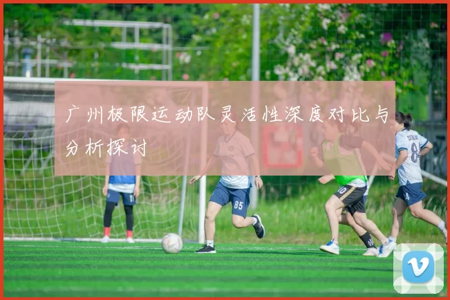 广州极限运动队灵活性深度对比与分析探讨