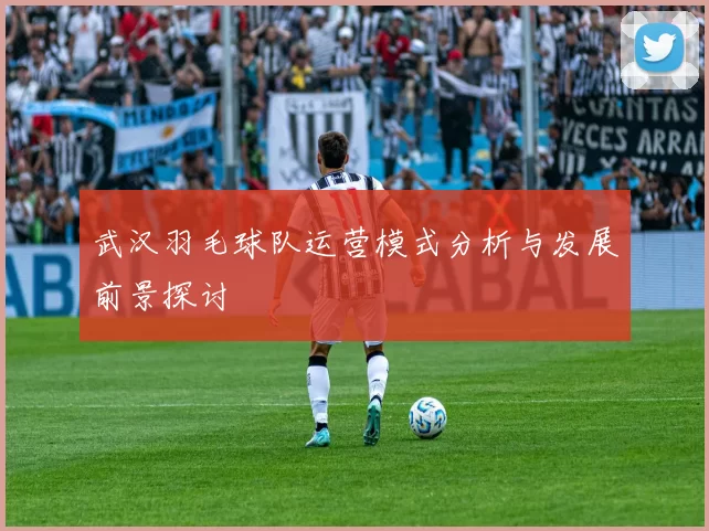 武汉羽毛球队运营模式分析与发展前景探讨