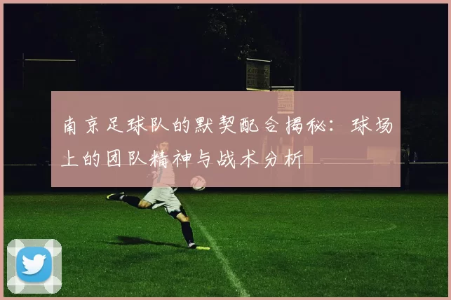 南京足球队的默契配合揭秘：球场上的团队精神与战术分析