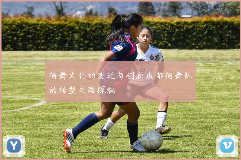 街舞文化的变迁与创新成都街舞队的转型之路探秘
