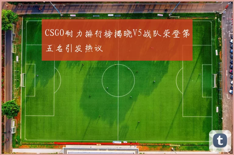 CSGO耐力排行榜揭晓V5战队荣登第五名引发热议