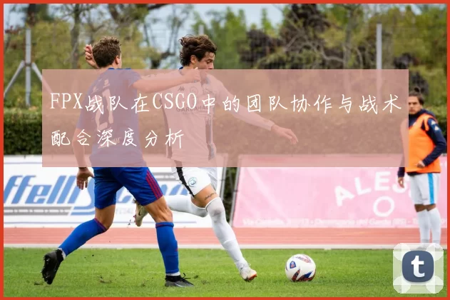 FPX战队在CSGO中的团队协作与战术配合深度分析