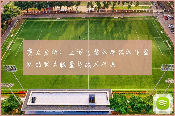 赛后分析：上海飞盘队与武汉飞盘队的耐力较量与战术对决